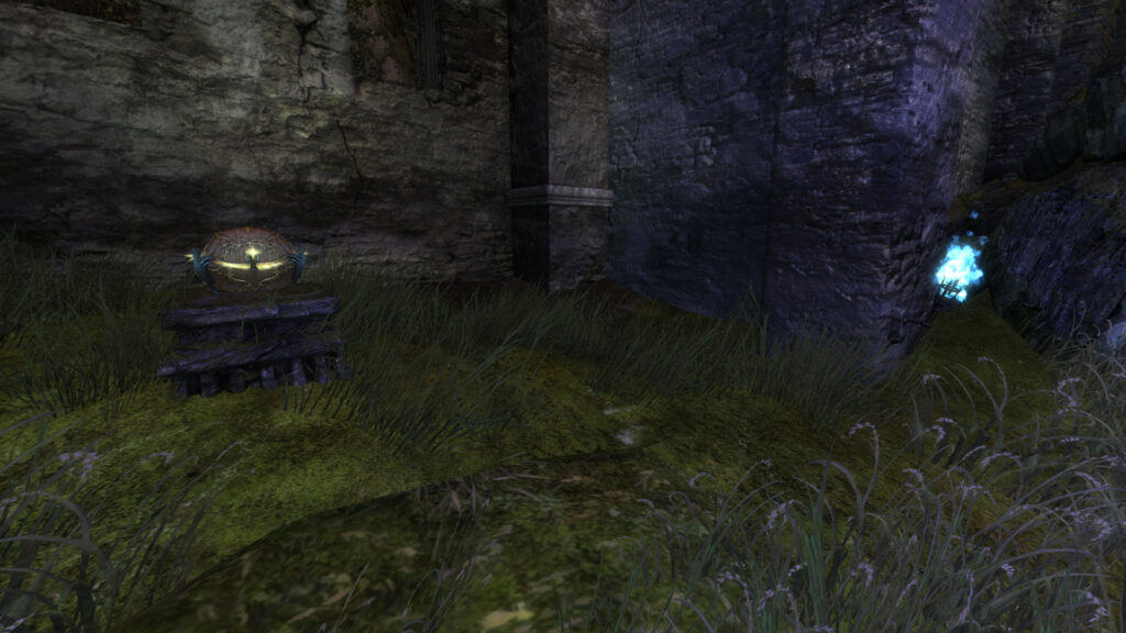 The lit brazier at the end of the Spirit Woods with the extra spawned chest on a pedestal on the left